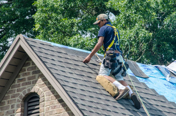Best Roof Restoration Services  in Newfoundland, NJ
